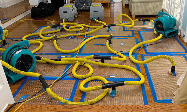 Professional Burst Pipe Water Damage technician working in Albany, IN